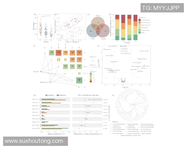 数据分析视角下V5意识表现的深度剖析与探讨