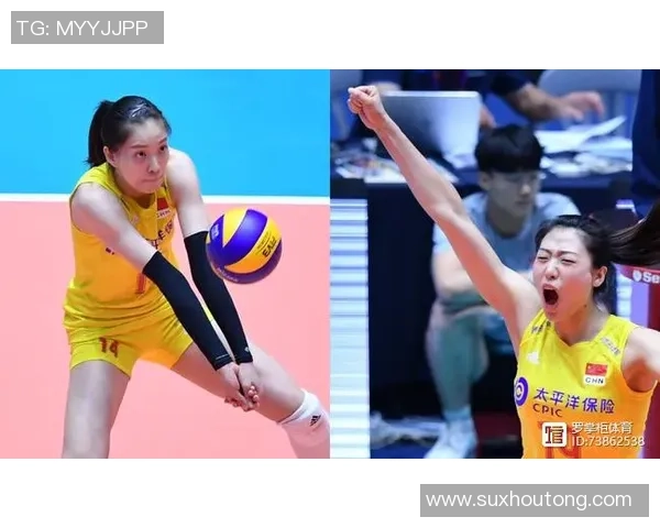 西安排球队的节奏解析与排球热点的深度剖析