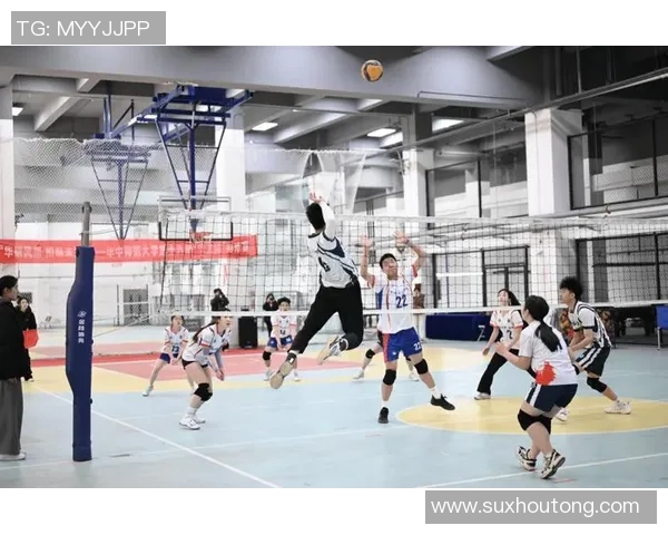 重庆排球队的拼搏历程与荣耀追寻:一段排球纪实的真实故事 重庆排球队的拼搏历程与荣耀追寻:一段排球纪实的真实故事