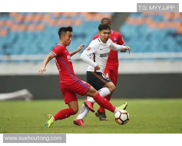 重庆极限运动队状态分析与发展前景探讨