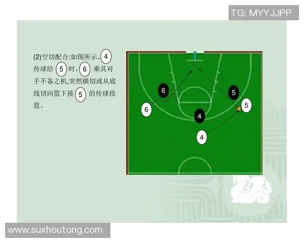 广州篮球队的战术解析与控制能力深度剖析