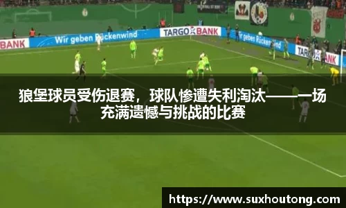优游国际