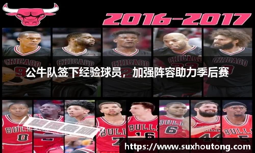 公牛队签下经验球员，加强阵容助力季后赛