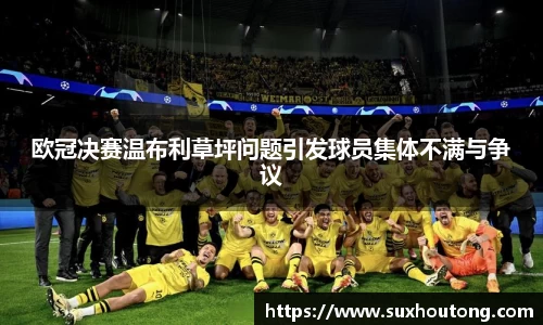 欧冠决赛温布利草坪问题引发球员集体不满与争议